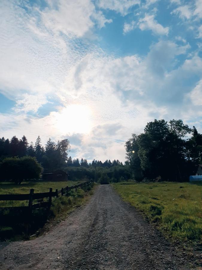 Domek Maly Czar Czarnow (Kamienna Gora) Exterior foto