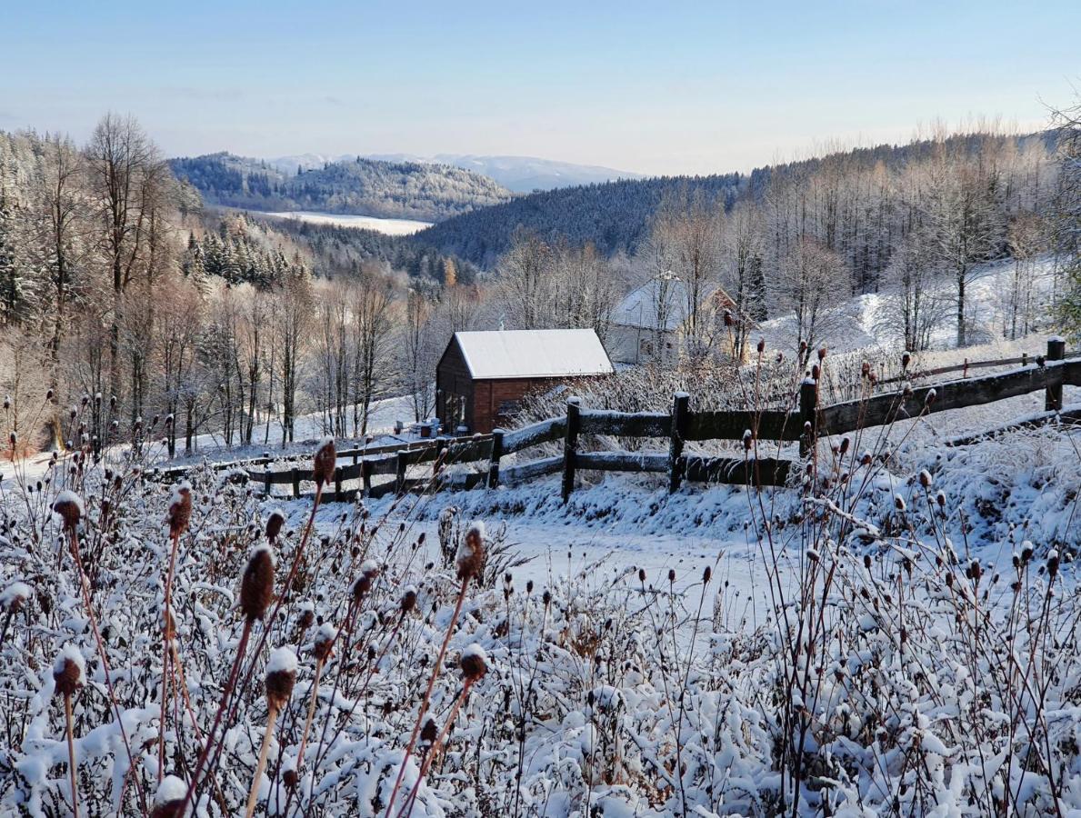 Domek Maly Czar Czarnow (Kamienna Gora) Exterior foto